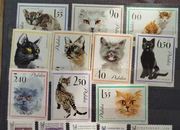 Fi (1327-1336)**  Koty 1964r