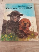 Czarna owieczka.