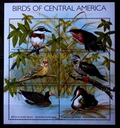 Gujana ( ptaki Ameryki)