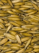 Owies workowany 20 kg zamiennik pelletu 