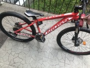 Krowa level replica TE, 26 cali