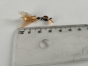 Robak Przynęta Guma uzbrojona na każdą RYBĘ KILLER