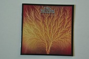 Van Der Graaf Generator "Still Life"