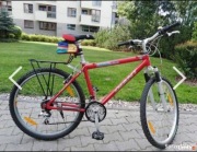 Rower Giant Alu Shock