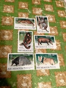 Nicaragua 1990 the 45th anniversary of fao animals