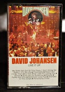 David Johansen - Live It Up, NYD. kaseta, US