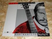 Hans Theessink - Baby Wants To Boogie  |  LP