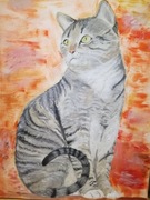 Obraz pupila, zwierzaka ze zdjęcia