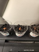 Bulwy Black velvet pink