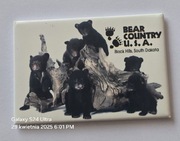 Magnes na lodówkę BEAR COUNTRY USA Stany Zjednoczone(10)