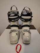 Scarpa Euphoria 24.0 cm – buty skiturowe, używane, w 100% sprawne