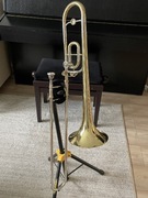 Puzon dziecięcy Roy Benson TT-220 w stroju Bb/C