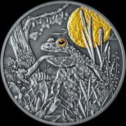 Srebrna moneta 1oz 500cfa "nocni łowcy" ŻABA