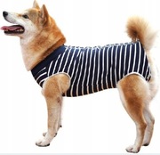 HEYWEAN Kombinezon do regeneracji dla psa XL