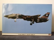 Hasegawa 09867 - F-14D Tomcat "Black Tomcat" 1/48