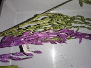 Gałązki brokatowe komplet 2 szt