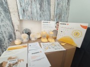 Medela swing maxi & calma