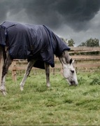 Derka padokowa Kentucky All weather Hurricane 0g 130cm granatowa