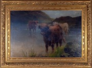 Obraz Realistyczny -Krowy