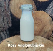 Mleko kozie, świeże, niepasteryzowane. 