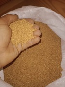 Proso żółte 22kg ULTRA CZYSTE karma dla papug PROMOCJA ! ! !