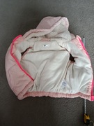 Kurteczka i bezrekawnik