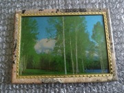 Vintage Obrazek - Las