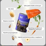 Hey holy karma mokra buldog francuski 750