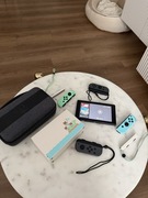 Nintendo switch animal crossing 
