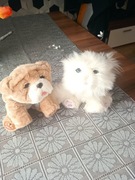  Interaktywne Zwierzęta Little Pets