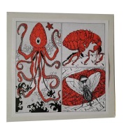 Band Of Pain – Argento Vinyl LP