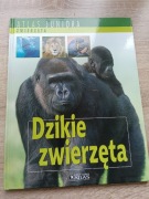 Książki dla dzieci zestaw 3 szt