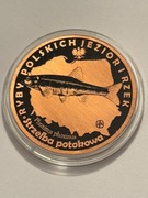 Ryba strzelba potokowa. Miedź fi 32 mm. 2013 Gyges