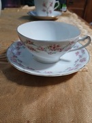 Stara filizanka KPM róże lata 20 do herbaty