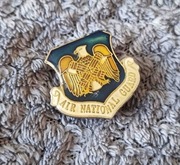 Przypinka - Air Natiol Guard