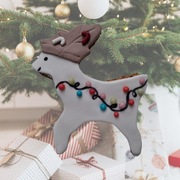 Renifer - ciastko dla konia