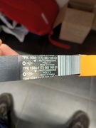 PASEK KLINOWY 7PK1684 117208314R