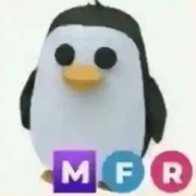 MFR penguin "Adopt me" roblox 
