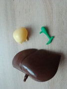 Zestaw kostek szkielet ciało człowieka National Geographic