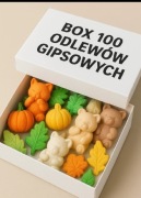 Box 100 odlewów gipsowych 