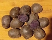 ziemniaki truflowe fioletowe małe drobne 24 kg 