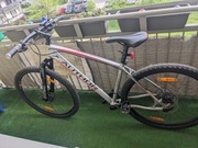 Rower Author Radius 29