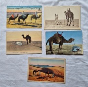 Pocztówki 5 szt. Afryka Islam około 1920r 