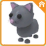 Cat- Adopt Me Roblox