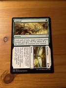 MTG Appeal Authority