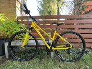 Rower crossowy Cube Curve Pro W (Nature) - rama 46