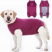 Body dla psa po operacyjne rozmiar L