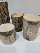 Pieńki brzozy do własnej aranżacji 