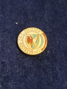 Celuloza Kostrzyń nad Odrą odznaka