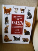 ALBUM O KOTACH - KOT !